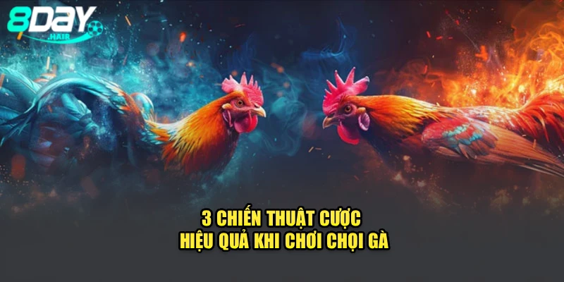 3 chiến thuật cược hiệu quả khi chơi chọi gà