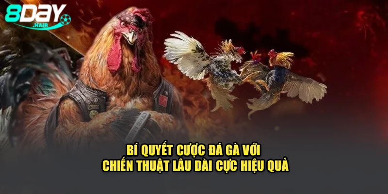 Bí quyết cược đá gà với chiến thuật lâu dài cực hiệu quả