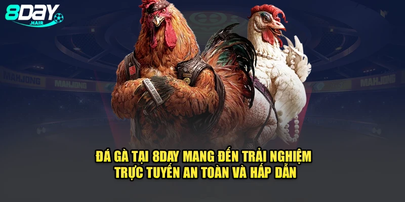Đá gà mang đến trải nghiệm trực tuyến an toàn và hấp dẫn