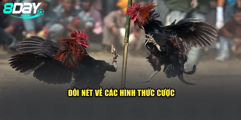 Đôi nét về các hình thức cược