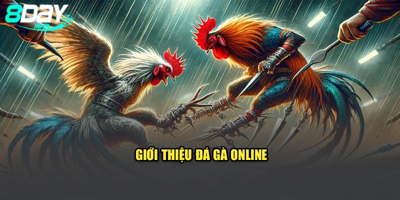 Giới thiệu đá gà online