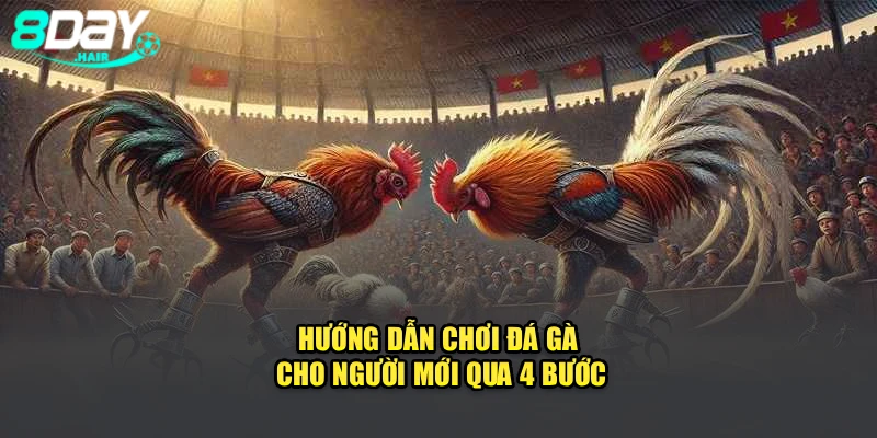 Hướng dẫn chơi đá gà cho người mới qua 4 bước