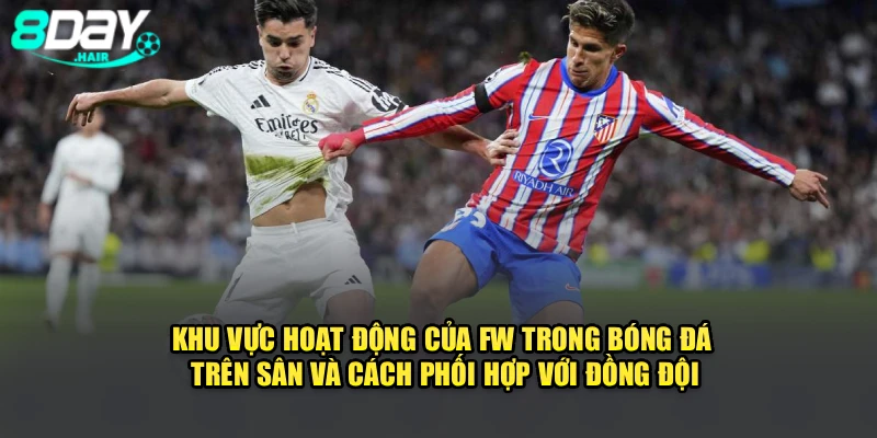 Khu vực hoạt động của FW trong bóng đá trên sân và cách phối hợp với đồng đội