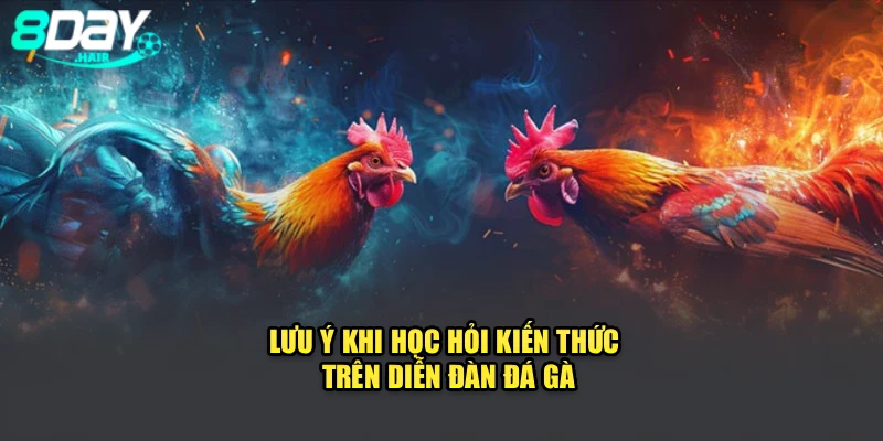 Lưu ý khi học hỏi kiến thức trên diễn đàn đá gà