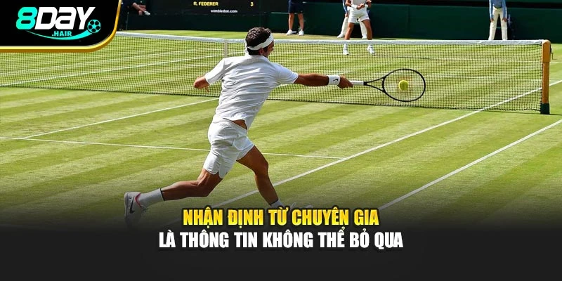 Nhận định từ chuyên gia là thông tin không thể bỏ qua