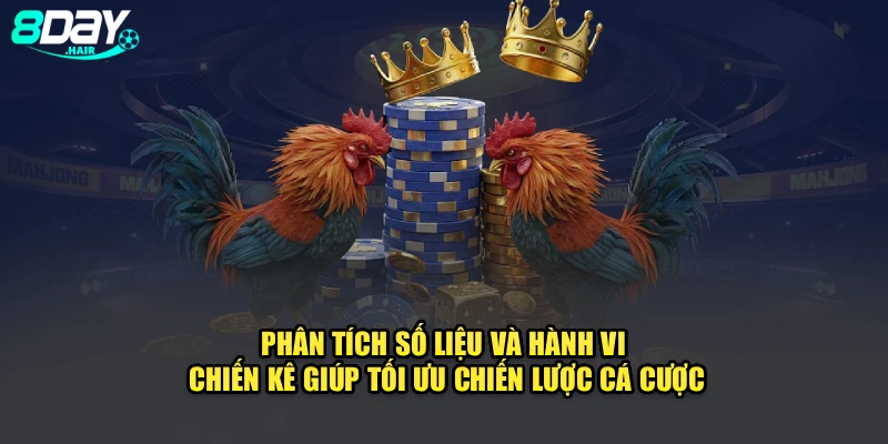 Phân tích số liệu và hành vi chiến kê giúp tối ưu chiến lược cá cược