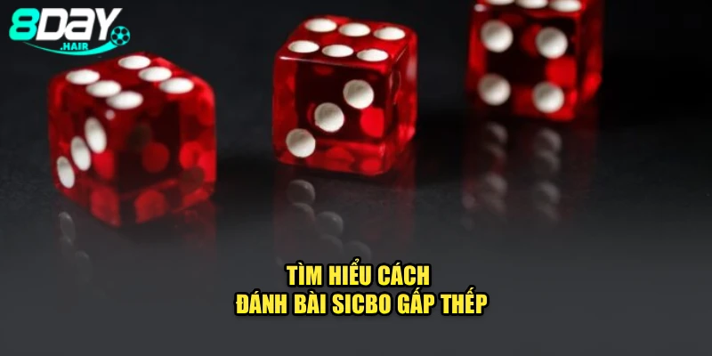 Tìm hiểu cách đánh bài Sicbo gấp thếp