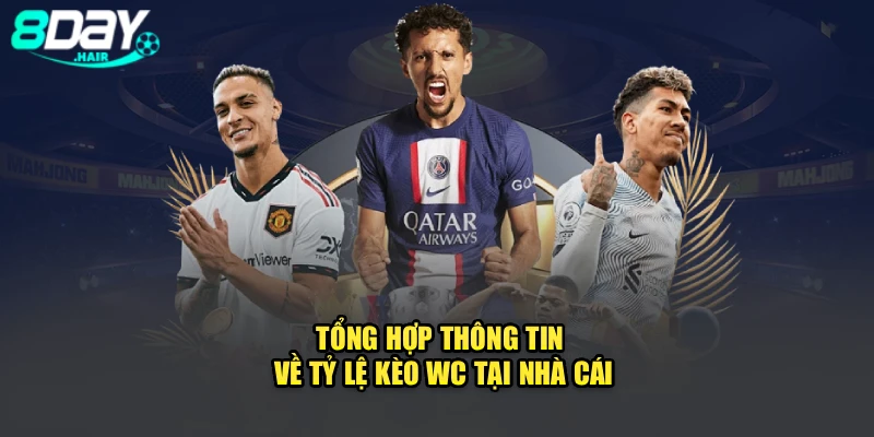 Tổng hợp thông tin về tỷ lệ kèo WC tại nhà cái