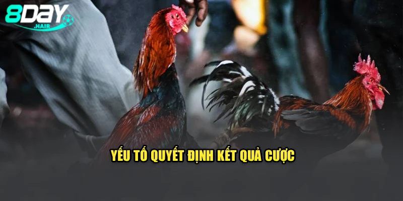 Yếu tố quyết định kết quả cược
